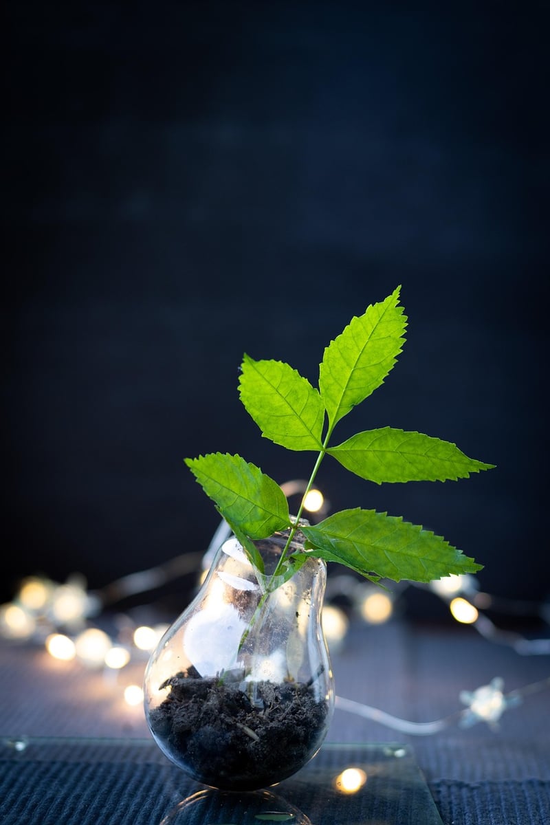 Upcycled Decor